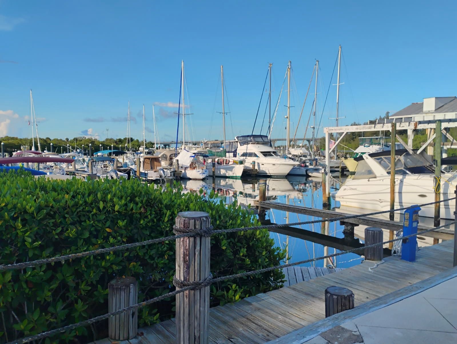 29fbdb59 782f 4bc4 97de 62093df0abe2